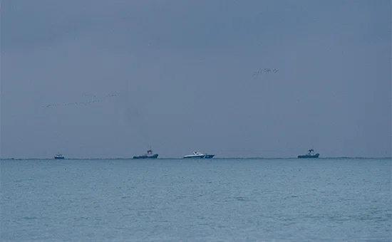 Поисково-спасательные работы у побережья Черного моря, где потерпел крушение самолет Ту-154 