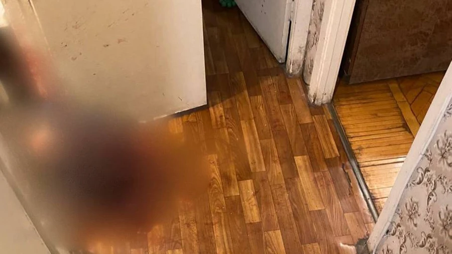 «Во время ссоры нанесла множественные ножевые раны» Убившая своего дедушку 16-летняя девочка задержана в Москве