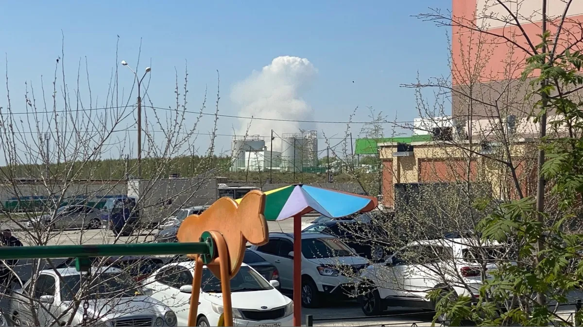 Под Новосибирском крупный пожар — предположительно, горит трава в районе Оби — видео с места ЧП