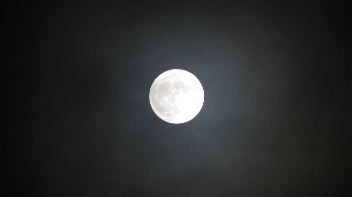 В этот день 2022 года Луна будет находиться к Земле ближе всего. Фото: Pxfuel.com