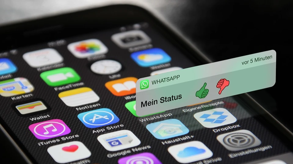 Станет ли WhatsApp с 15 мая станет платным для россиян