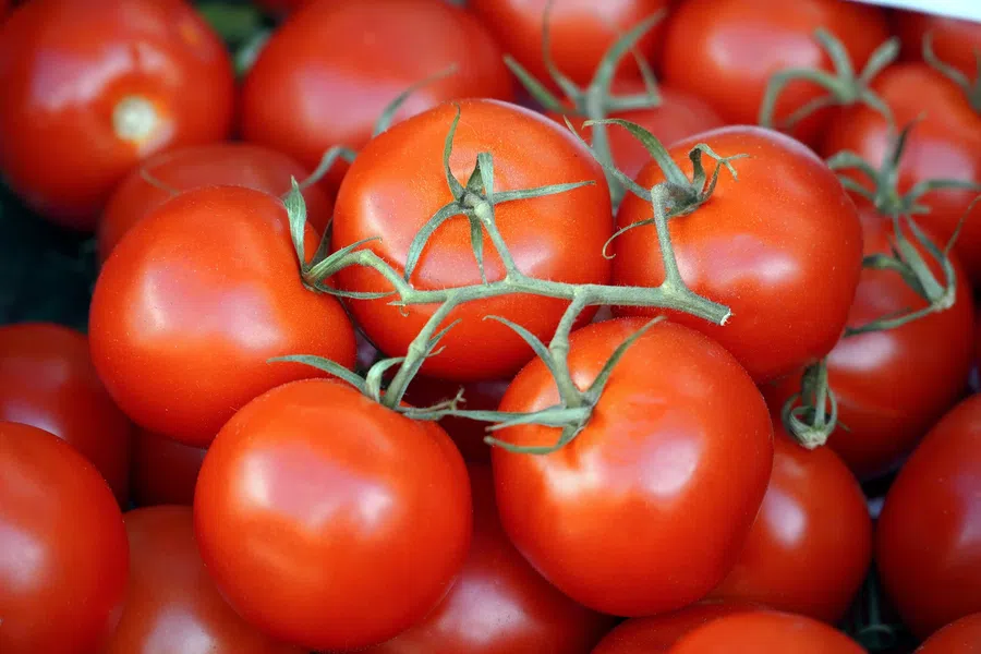 Когда высаживать рассаду томатов в апреле 2022: лучшие и худшие дни по лунному календарю для посадки в открытый и закрытый грунт