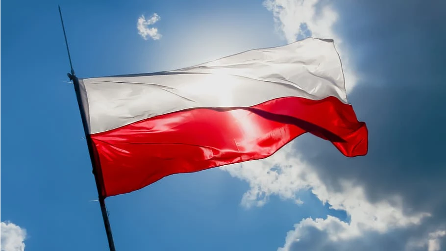 В Госдуме предлагают поставить Польшу в очередь на денацификацию – сразу за Украиной. Ответ за «Россию как раковую опухоль»