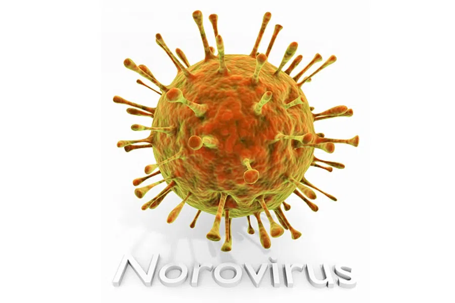 Что такое норовирус и как долго длится заболевание?
