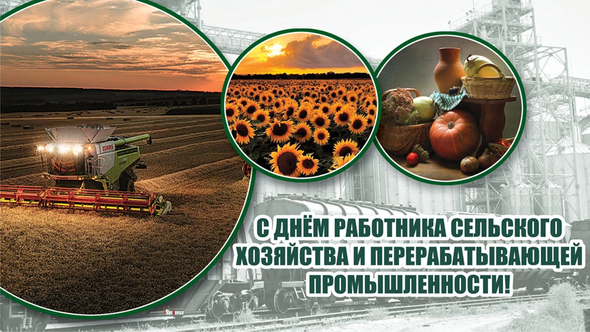 Славные открытки и душевные поздравления для героев полей в День работника сельского хозяйства и перерабатывающей промышленности 9 октября
