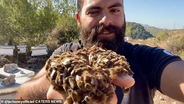 Сотни живых пчел живут у ливанца в бороде - фото