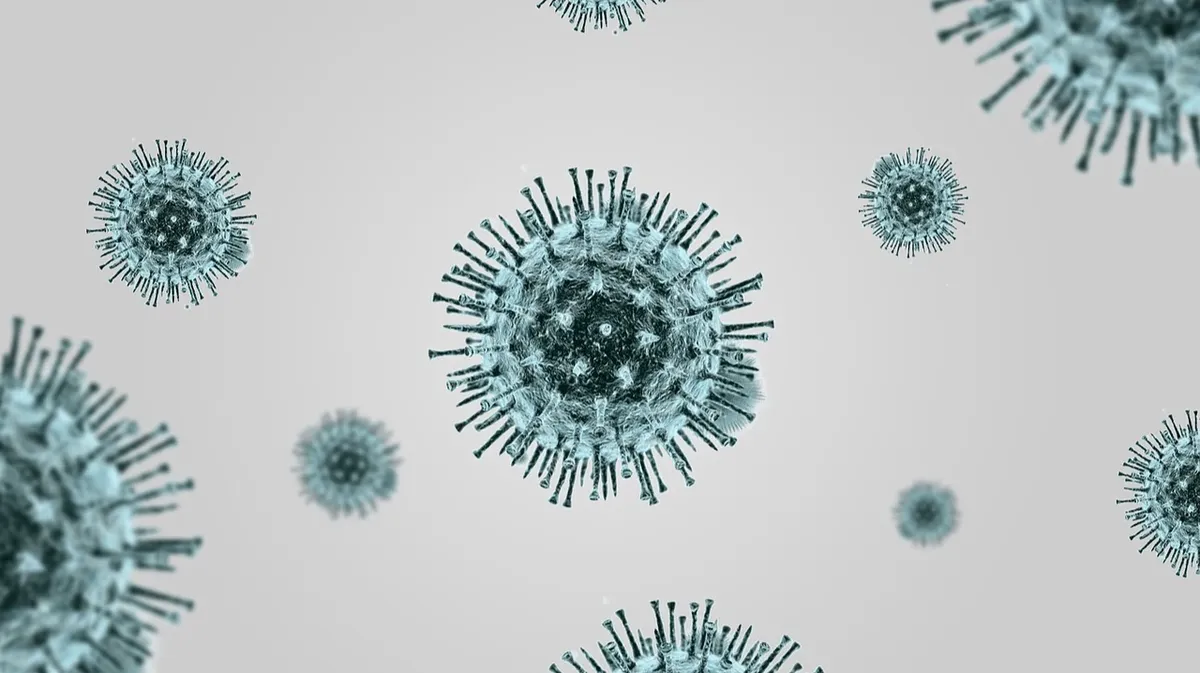 Вакцина от «дельты» и «омикрона», созданная на основе «Спутника V», сохранит свое название. Фото: pixabay.com
