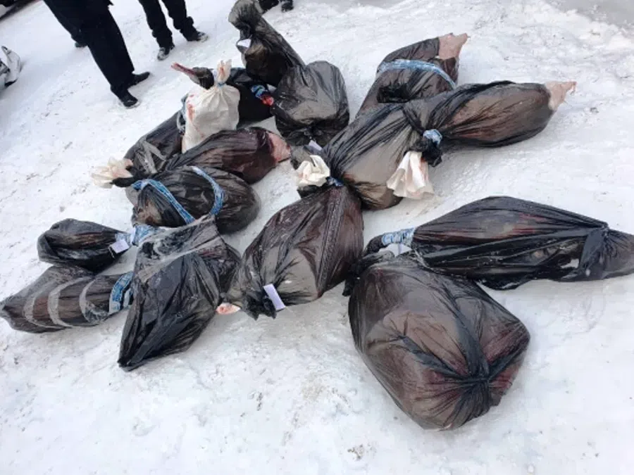 Под Новосибирском арестовали двоих полицейских за незаконно убитых на охоте 9 сибирских косуль