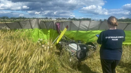 В Ленобласти разбился 64-летний дельтапланерист – видео падение дельтаплана около деревни Глябино