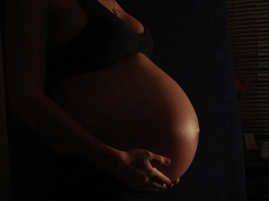 «Битва полов» начинается еще в утробе матери: гены отца и матери борются за питание