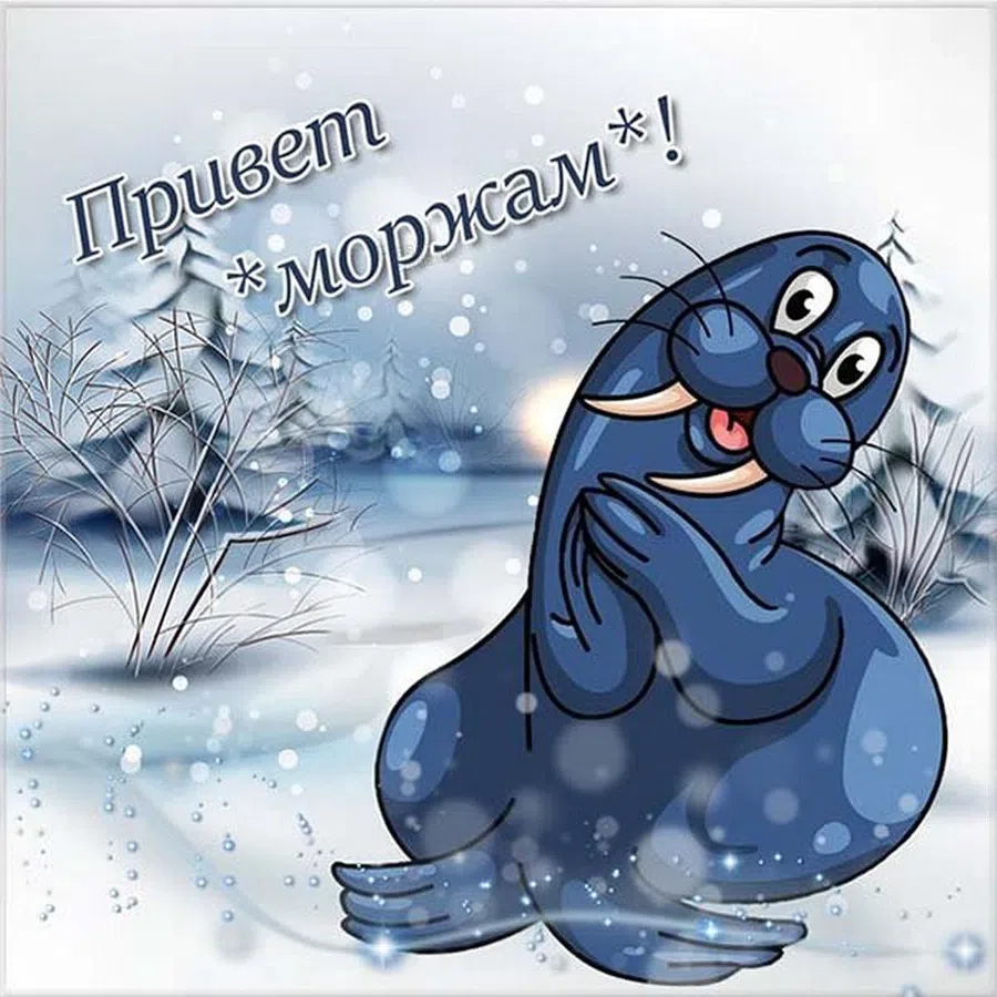 Морозно-ледяные, но очень теплые поздравления всем «белым медведям»в День моржа в России 24 ноября
