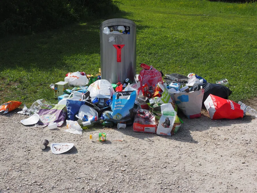 В России хотят ввести новые штрафы для автомобилистов за мусор на дорогах