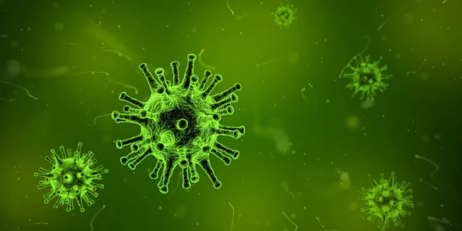 Обнаружен новый способ, которым вирусы вызывают аутоиммунные заболевания