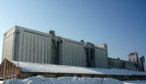 Бердский элеватор хранит десятки тонн резервного зерна