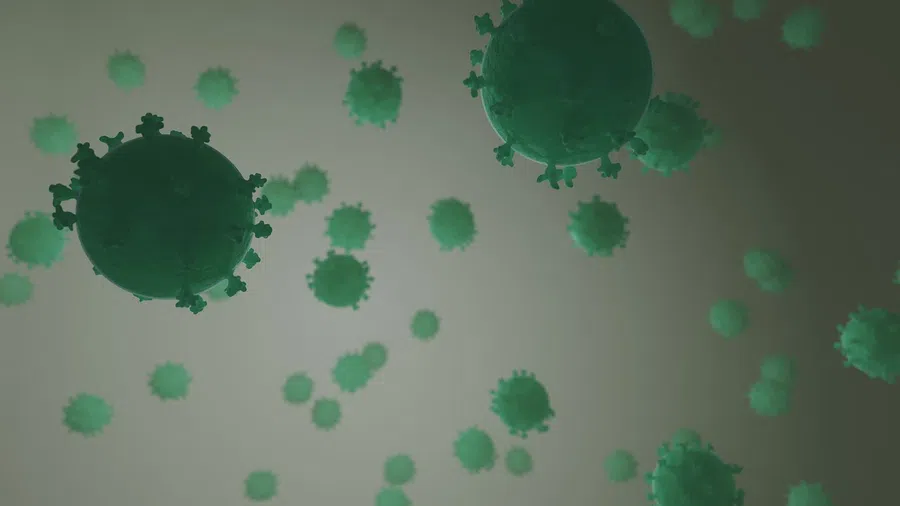 Как появляются новые разновидности коронавируса?