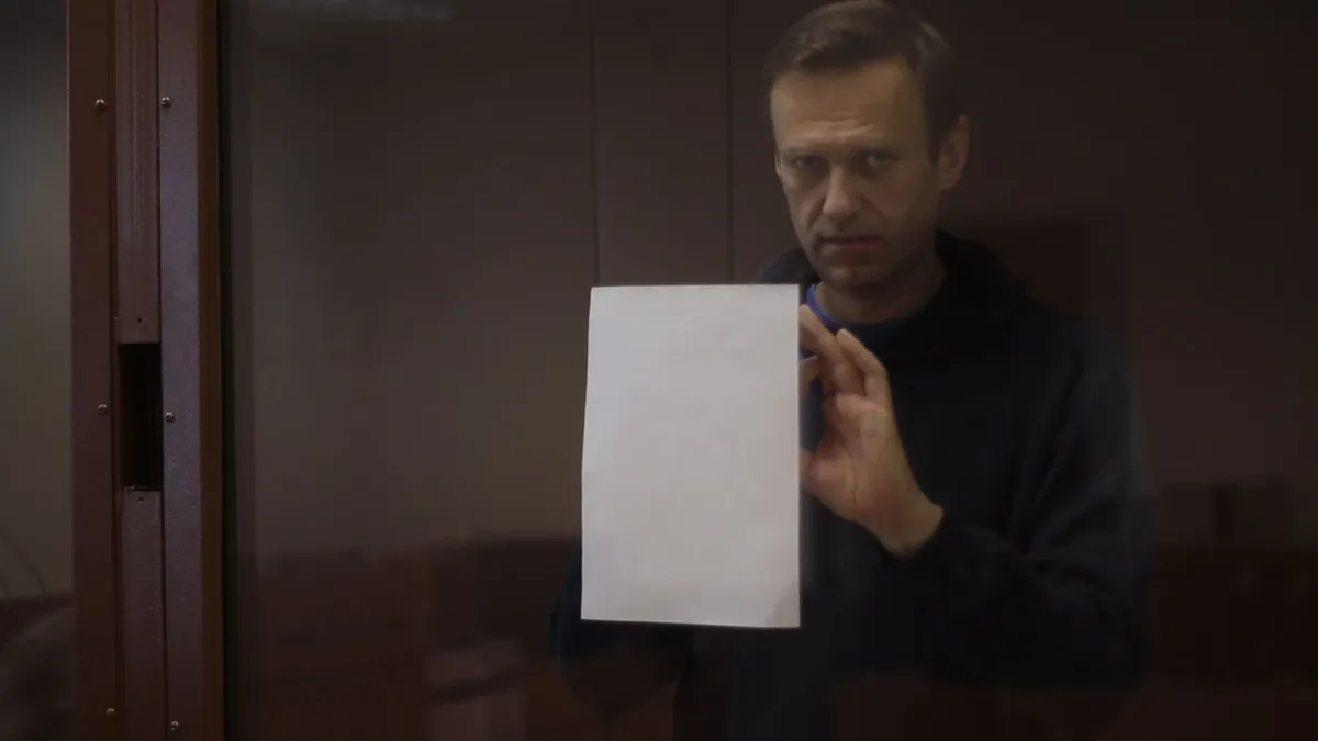Приговор Навальному за клевету на фронтовика обжаловала защита