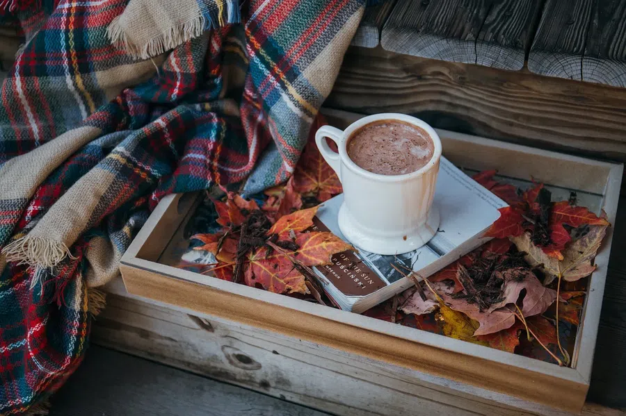 День горячего шоколада - 31 января. Фото: Pixabay.com