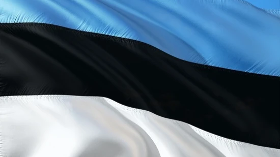 Эстония закрыла границы для 50 тысяч россиян с шенгенскими визами