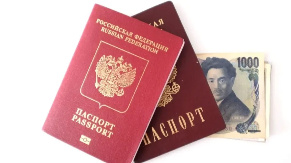 В паспорте, по мнению Хамзаева, должны быть проиллюстрированы исторические события страны. Фото: Pixabay