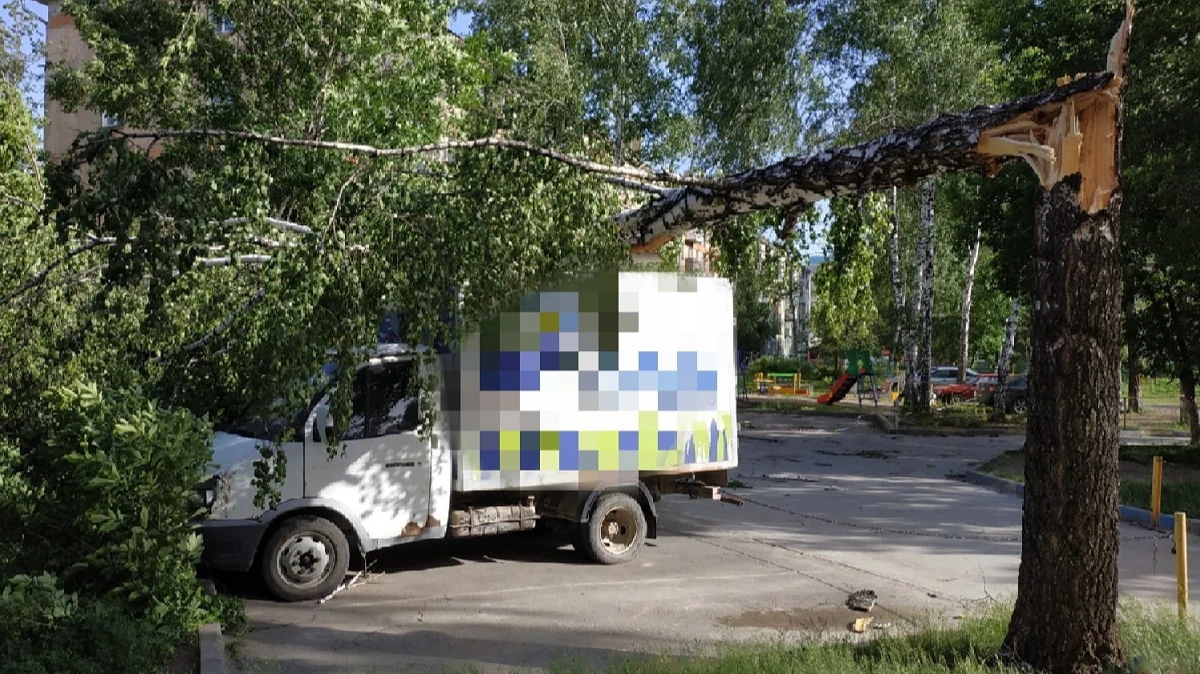 Сильный ветер нередко наносит удар по деревьям. Фото: инцидент Новосибирск