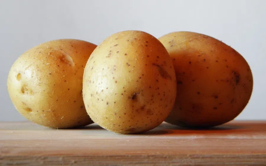 В каждом регионе России период посадки картофеля может значительно отличаться. Фото: Pxfuel.com