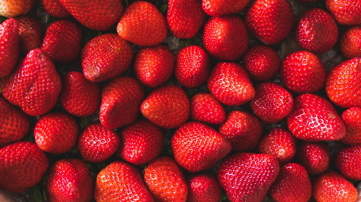 Ира 10.30 Лунный календарь клубники на апрель и май 2022: как высаживать ягоду кустиками. Благоприятные и неблагоприятные дни