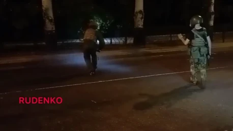 В Донецке саперы лопатами собирают мины ПФМ-1 после обстрела со стороны Украины – видео 