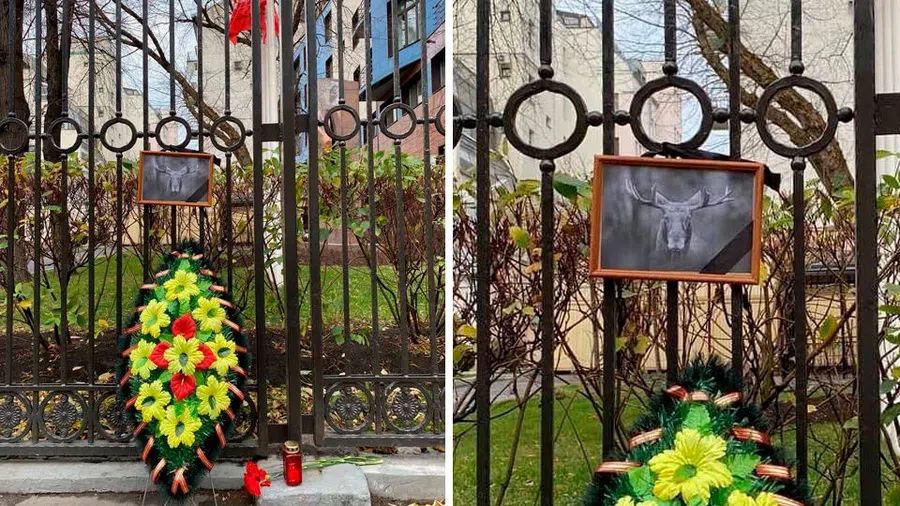 Мемориал убитому лосю создали у московского офиса КПРФ с намеком на Рашкина
