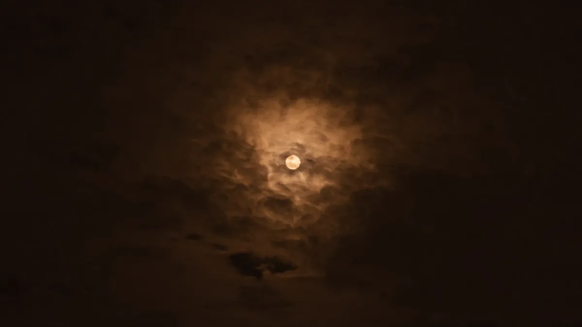 16 мая – Цветочное Полнолуние и полное лунное затмение-2022: пять волшебных ритуалов на изменение судьбы с быстрыми результатами в магическую дату