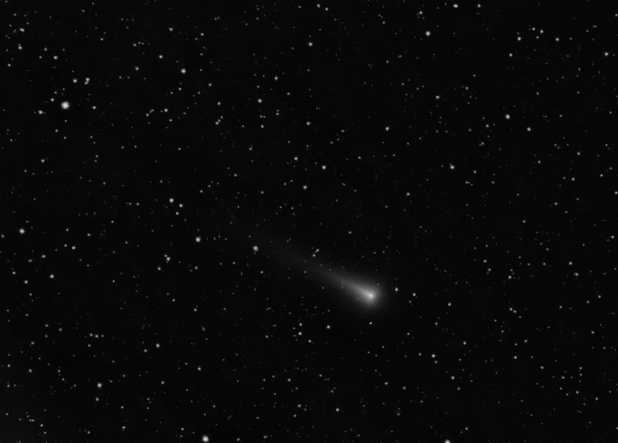 Leonard - самая яркая комета 2021 года. Фото: Андрей Никифоров 
