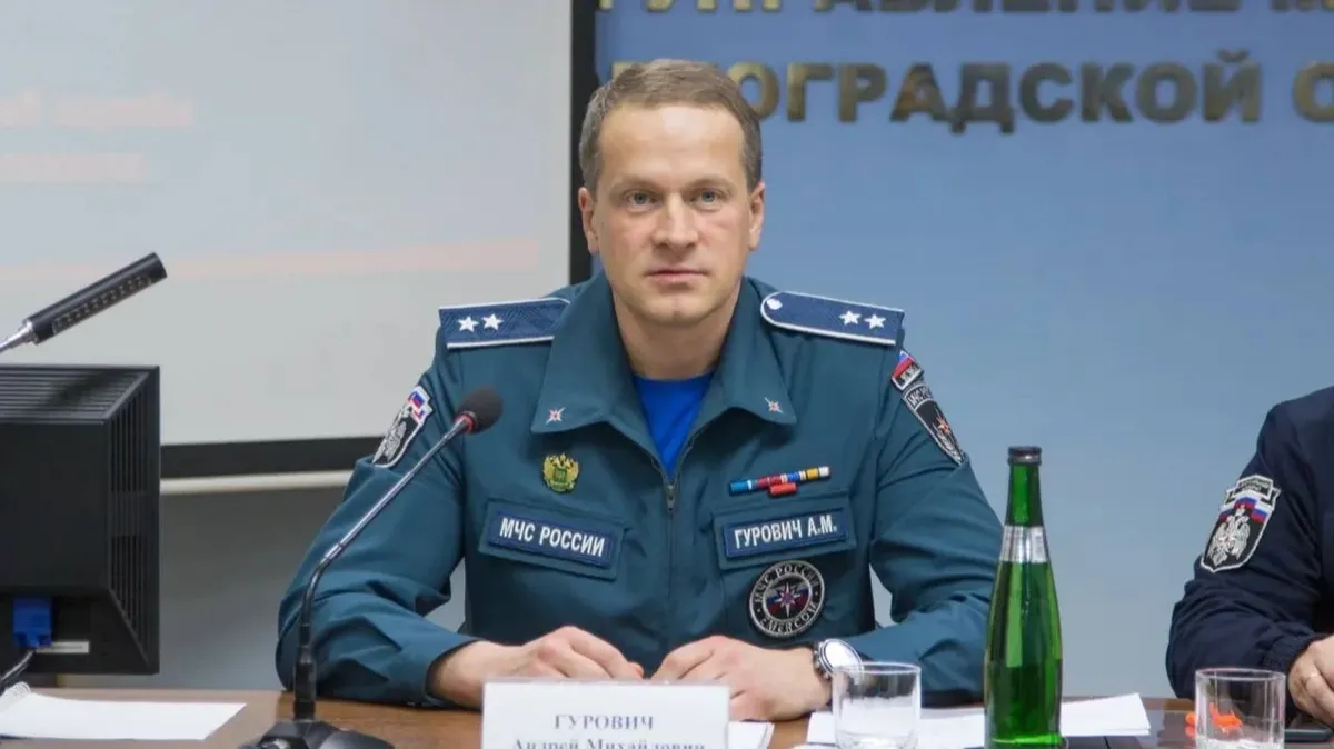 В Москве правоохранители задержали бывшего замглавы МЧС Андрея Гуровича 