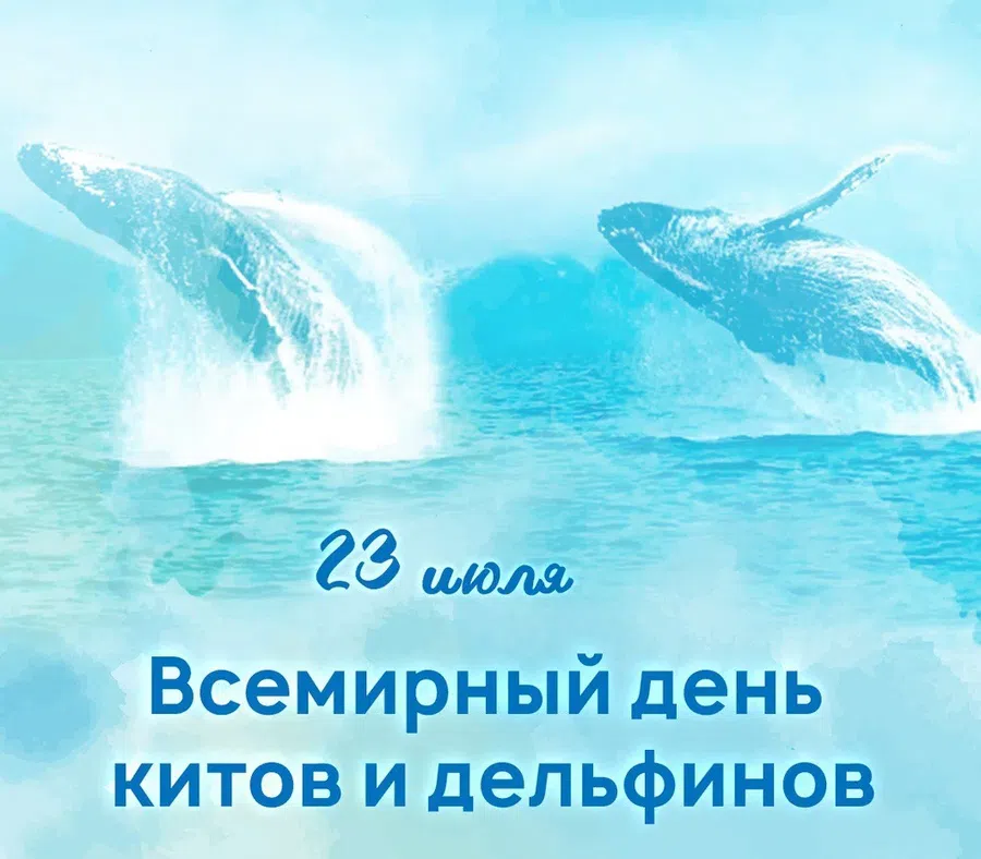 Добрые слова и картинки на Всемирный день китов и дельфинов 23 июля