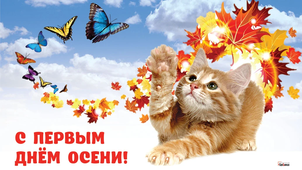 Очень красивые новые поздравления с Первым днем осени 1 сентября в стихах и прозе для россиян 