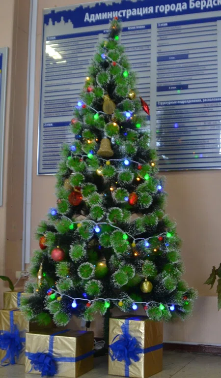 Всяк входящего в мэрию Бердска встречает елка "с подарками"     Всяк входящего в мэрию Бердска встречает елка "с подарками"