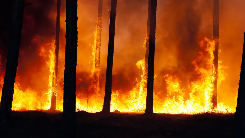 В Ростовской области бушует пожар: горит 250 гектаров. Для борьбы с огнем привлечен военный самолет ИЛ-76 и более 500 человек
