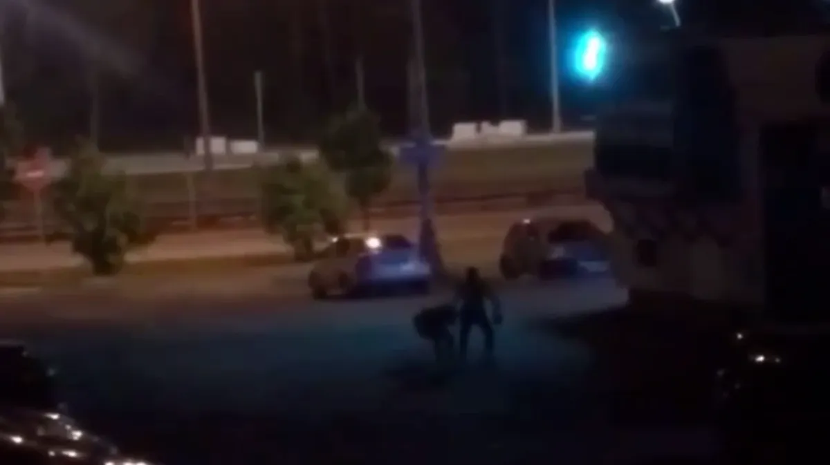 «Мы сами разберемся» В Москве иностранец жестоко избил жену посреди улицы - девушка кричала и молила о помощи