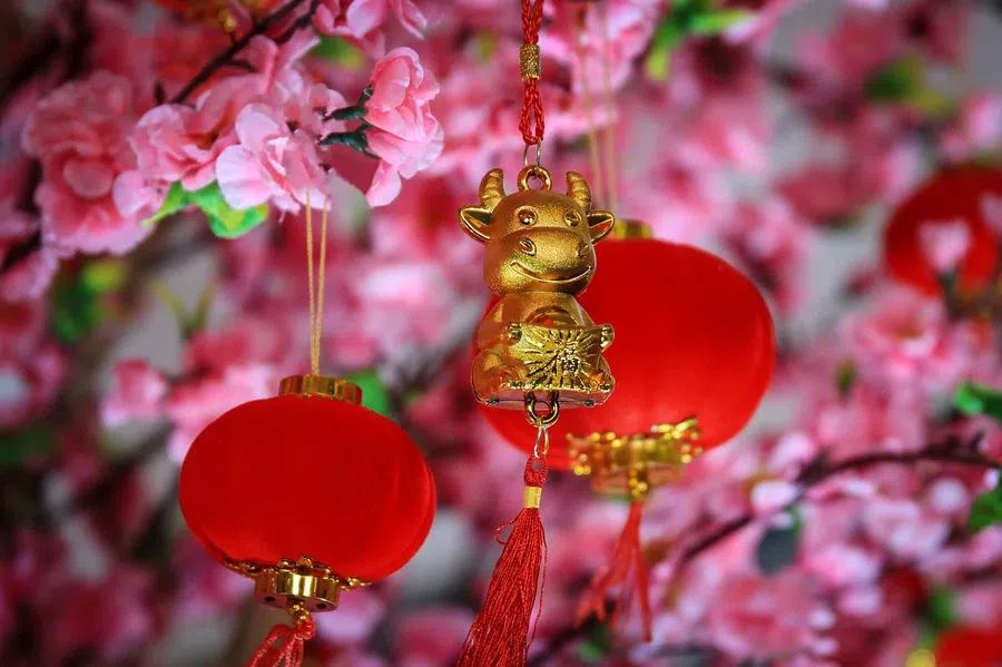 Китайский новый год празднуется с особой роскошью и в атмосфере красоты и древних традиций. Фото: Pixabay.com