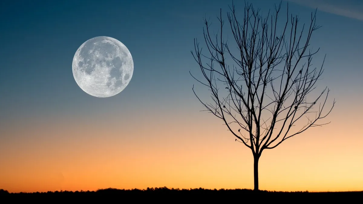 Лунный календарь на июнь 2022: все фазы луны, точные даты новолуния и полнолуния, день летнего равноденствия – особенности дат