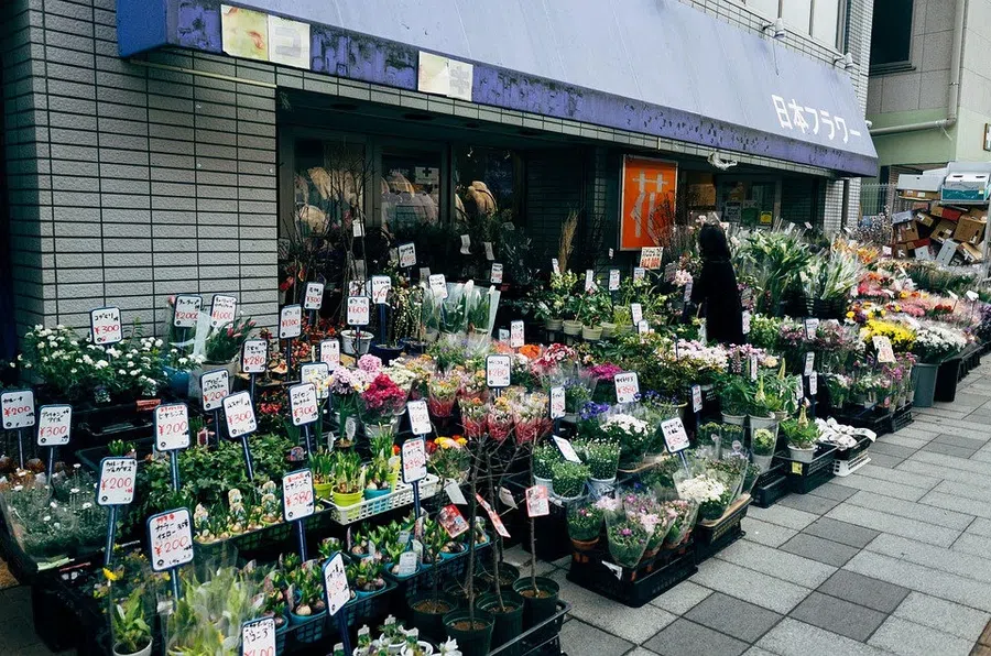 Эксперт: стоит ли покупать растения в супермаркетах?