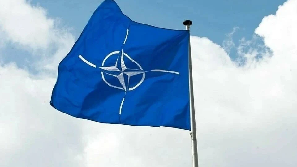 Украинская чиновница хочет вернуть Крым и разместить на нем базы НАТО