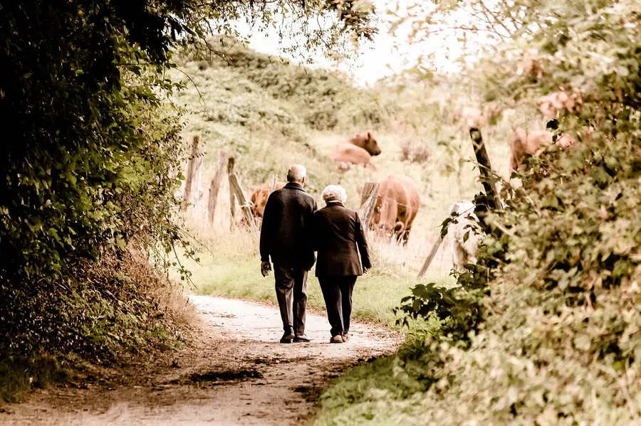Медленная ходьба и забывчивость могут предсказать риск слабоумия у пожилых людей