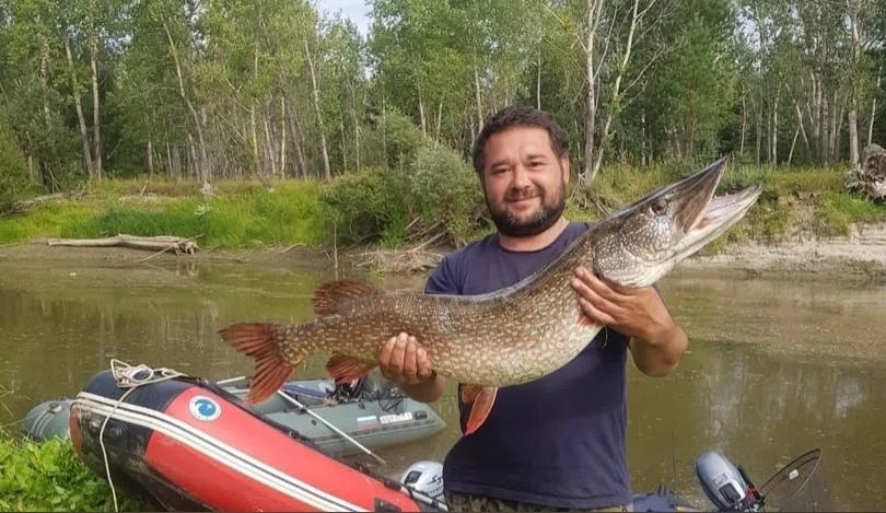 Огромную щуку весом в 8,5 кг поймал рыбак в Новосибирске