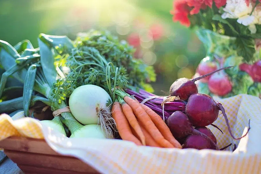 Лунный календарь сбора урожая на август-сентябрь: Благоприятные даты для моркови, свеклы и лука