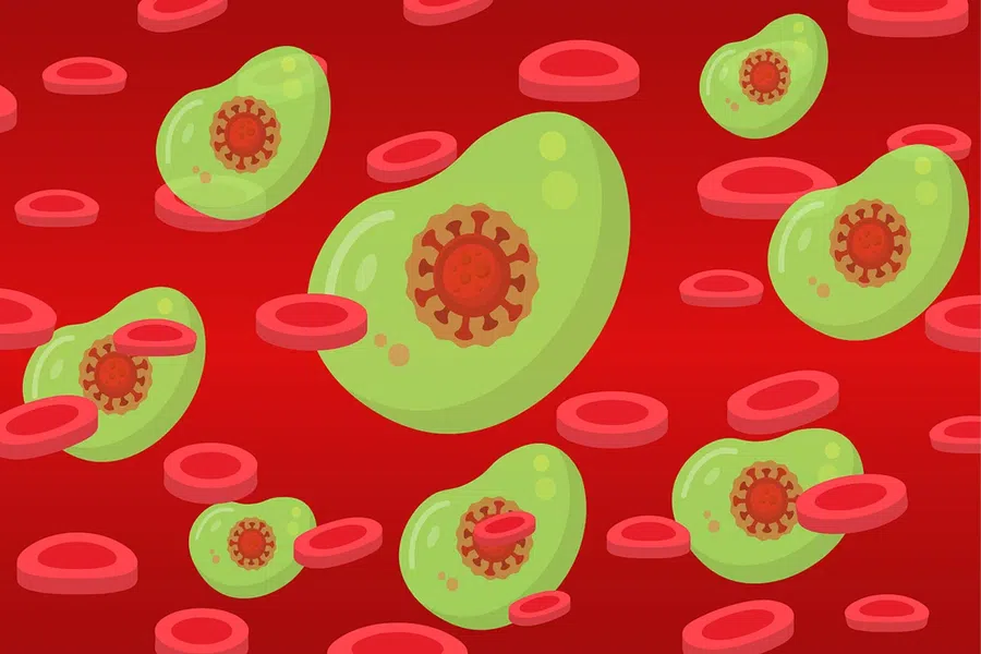 Как коронавирус может «прятаться» от иммунной системы: ответили ученые