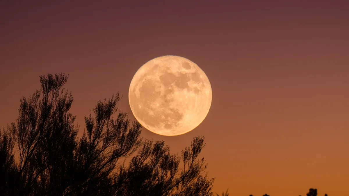 Полная луна в совокупности с магнитными бурями может привести к непредсказуемым последствиям. Фото: Pxfuel.com
