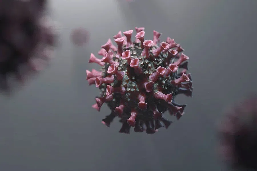 Возможно ли глобальное искоренение коронавируса, ответили эксперты