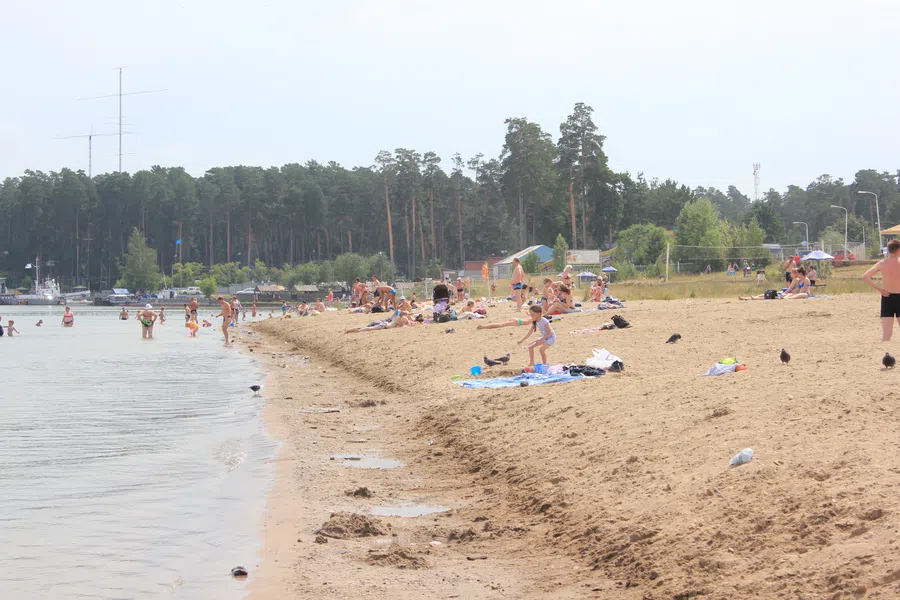 Пловец скончался на пляже "Дюны" в Бердске на глазах отдыхающих