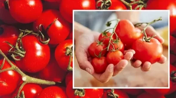 Не перезреет и не испортится! Сохраняйте помидоры идеально спелыми с помощью простого лайфхака для хранения продуктов. Фото: Getty