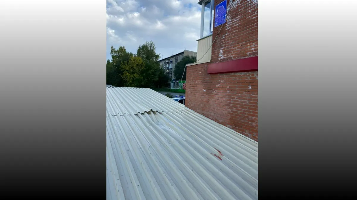 В Новосибирске 7-летний ребенок выпал из окна на 8 этаже — мальчик чудом выжил 