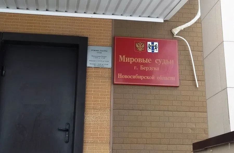 В Бердске безработная многодетная мать обворовала магазин на 10 тыс. рублей: Пронесла мимо кассы детскую одежу и игрушки